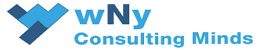 wNy Consulting Minds