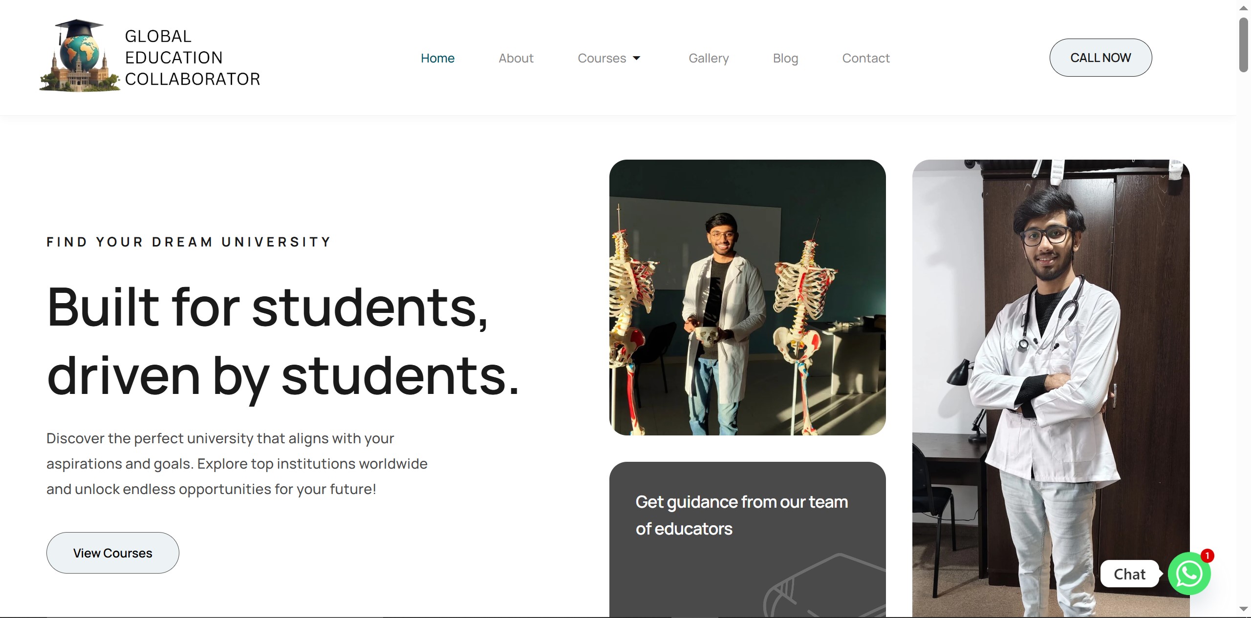 Global Education Collaborator